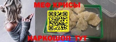 СК Кингисепп