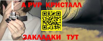СК Кингисепп