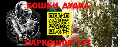 СК Кингисепп