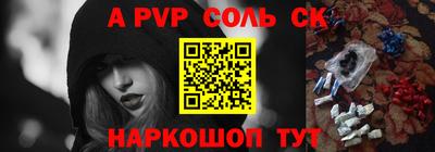 СК Кингисепп