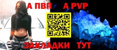 СК Кингисепп
