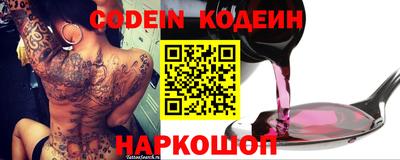 СК Кингисепп