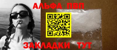 СК Кингисепп