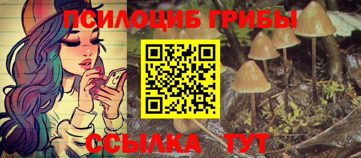Псилоцибиновые грибы MAGIC MUSHROOMS  Вход с VPN  Псилоцибиновые грибы ЛСД  купить   Энгельс 