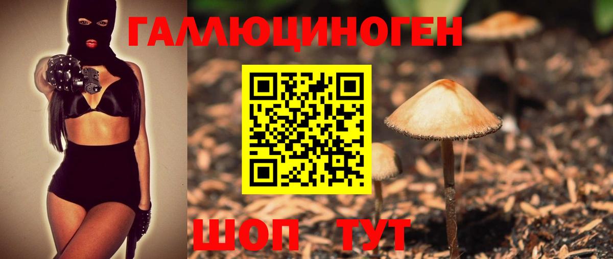 Галлюциногенные грибы мицелий Энгельс